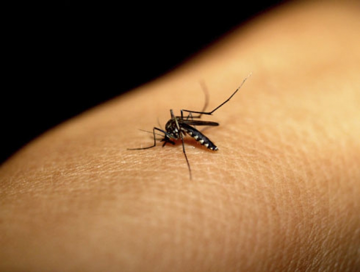 World Health Day 2014: Prevention and control