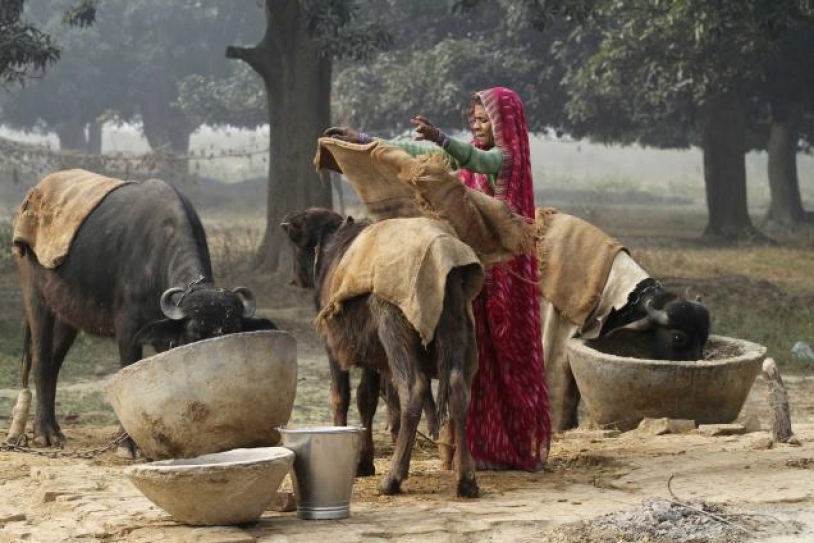 India rising to Sustainable Energy challenge