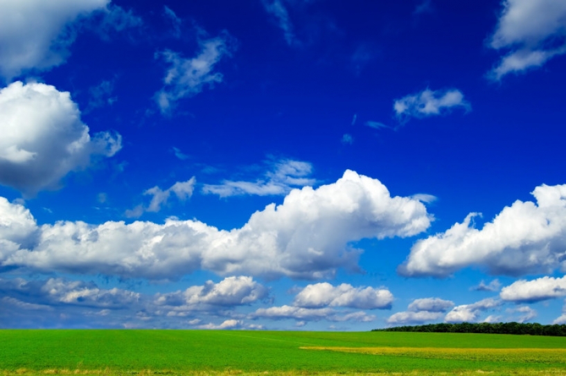 Environment: Clear the air on green clearances
