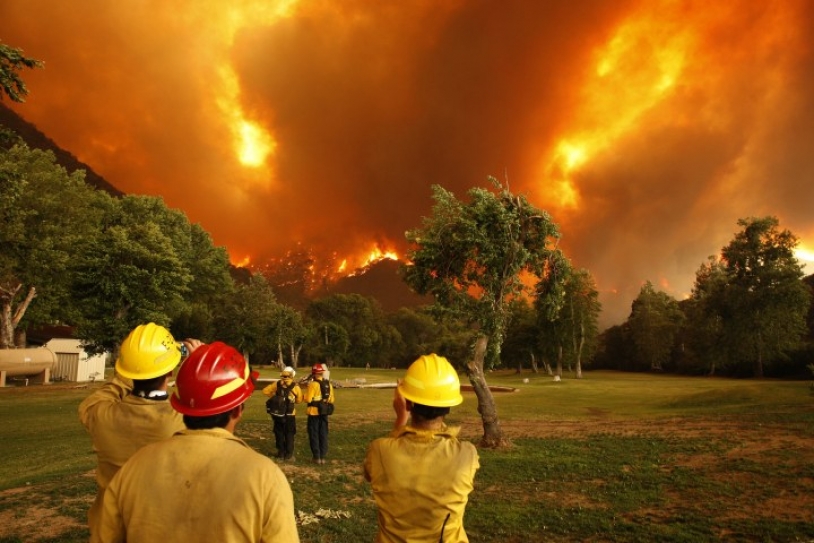 Forest fires now more frequent across the globe