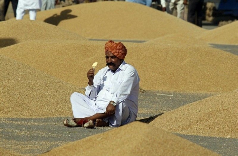 Climate change making food crops less nutritious
