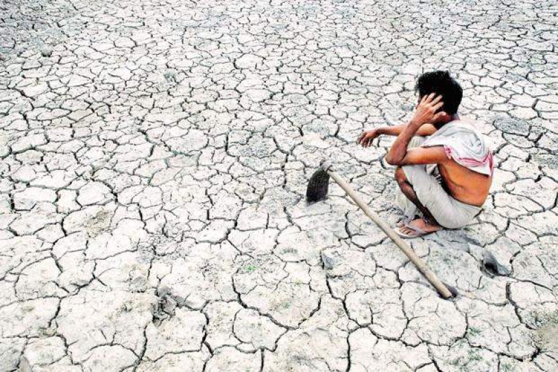 Inadequate rainfall adds to misery of farmers in Maharashtrawada