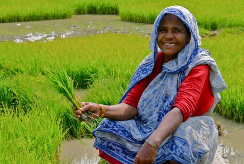 IMD plans agromet service to get weather right for farmers