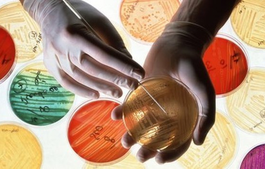 Antibiotic Resistance Now A Global Threat According To Latest WHO Report