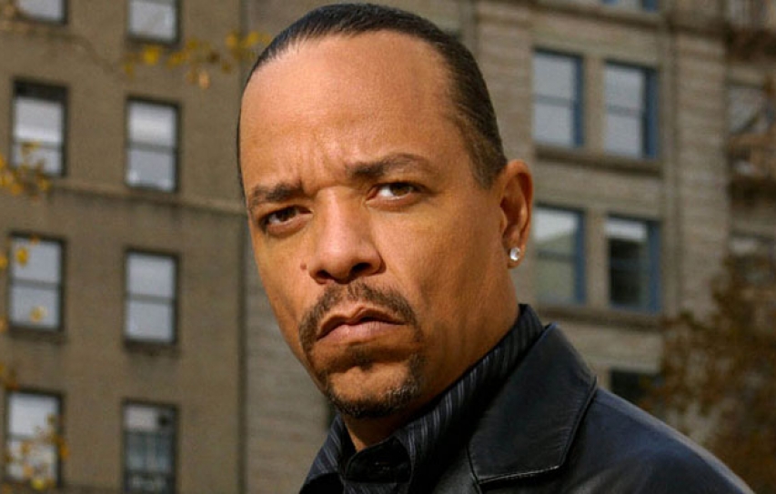 Ice-T, Kid Rock, Stevie Nicks And Others Work To House 57,000 Homeless Vets