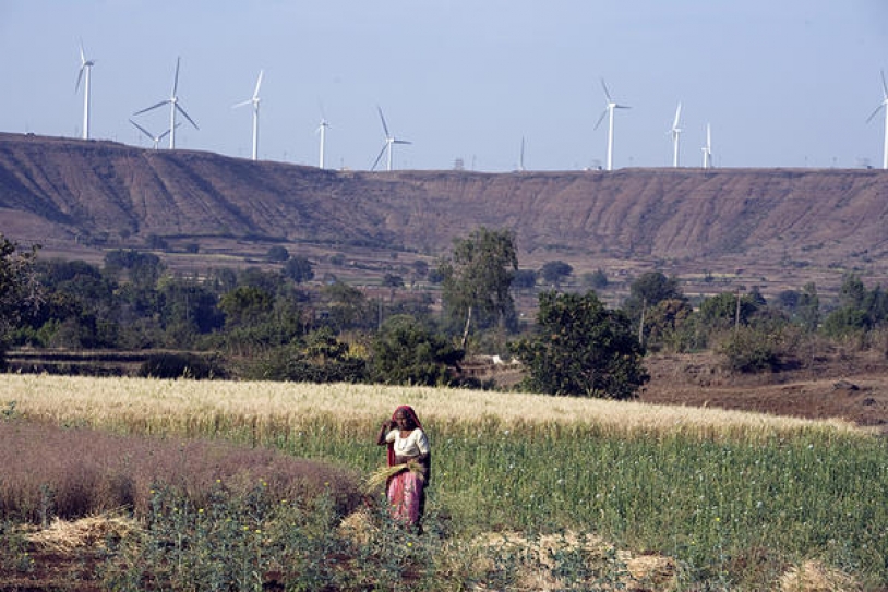 Why women in India are farming with diverse plants – and without pesticides