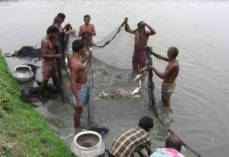 India world No 2 in global fish production
