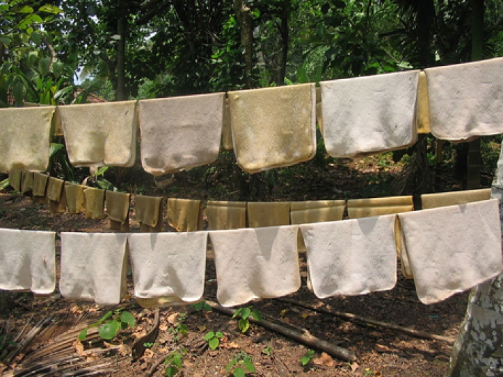 National rubber policy must protect growers, urges planters’ association