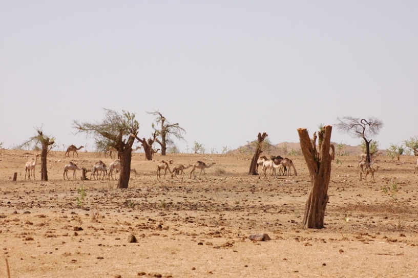 India to be Land Degradation Neutral by 2030