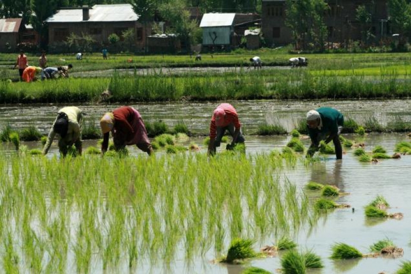 India’s rainfall patterns changing drastically, say Stanford scientists