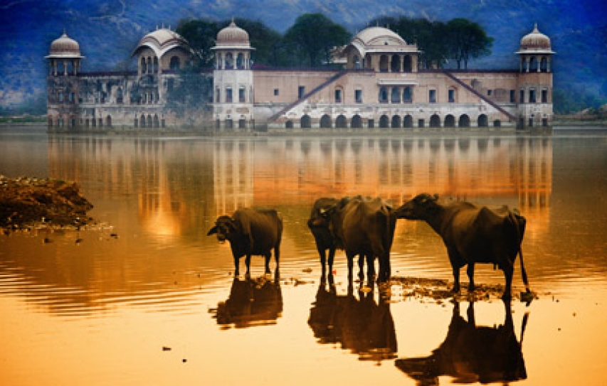 India counts human and economic cost of late monsoon