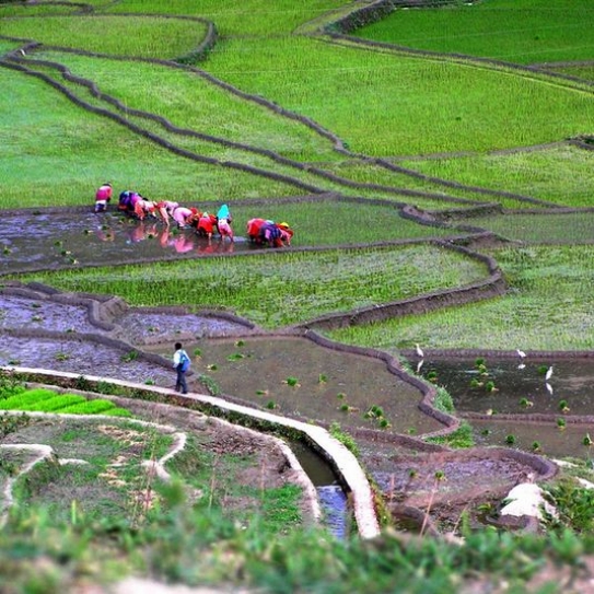 Bonn climate talks: New fundingmechanism proposed at side event totackle energy poverty