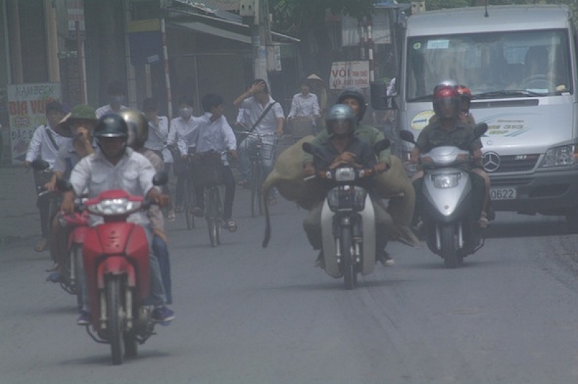 CO2 emissions in ASEAN from transport sector will double by 2050, warns energy agency