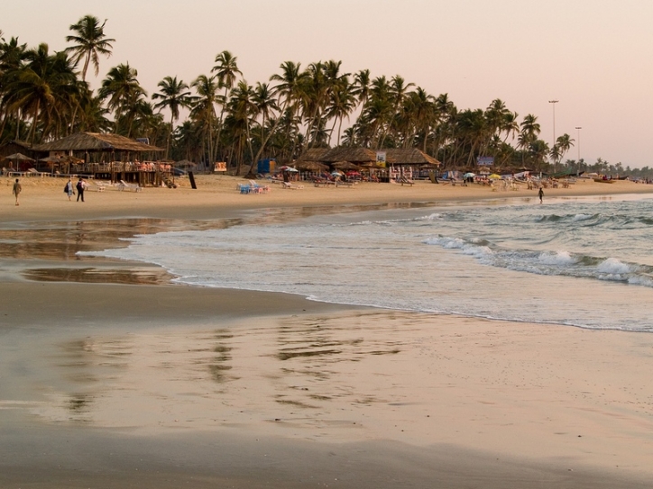 Water pollution killing Goa’s marine population