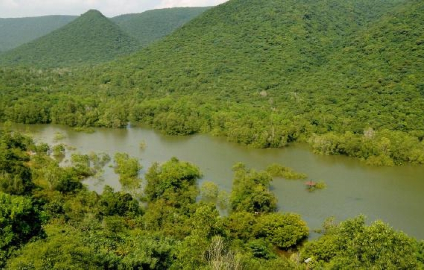 Legal fraternity stresses on increasing green cover