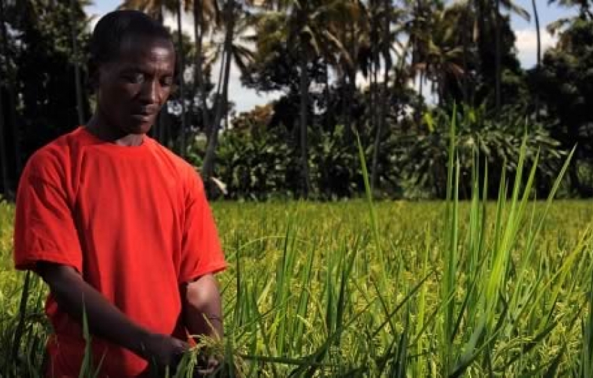 Farmers' battle to cope with climate change could spark rural renewal