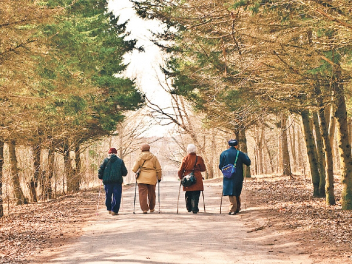 To Age Well, Walk