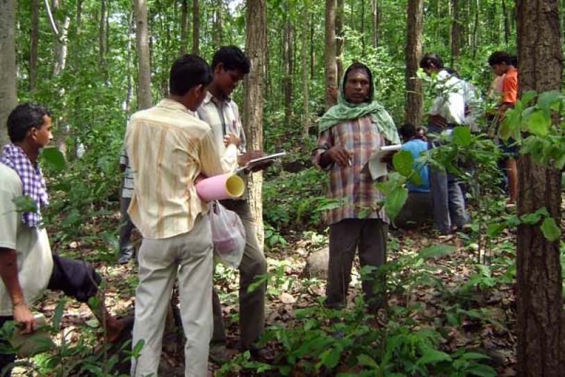 India?s green cover has increased, but outside demarcated forests