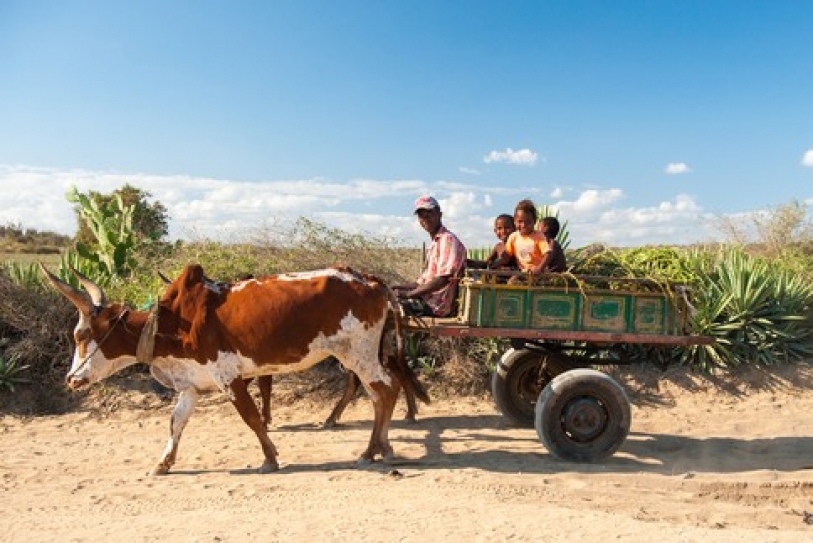 Climate change ‘single biggest hindrance’ to human development