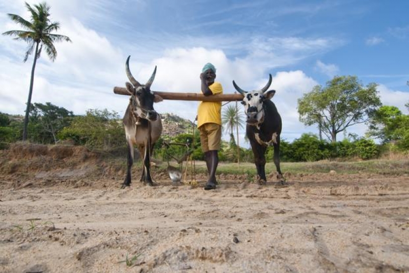 60% chance of drought: Private forecaster