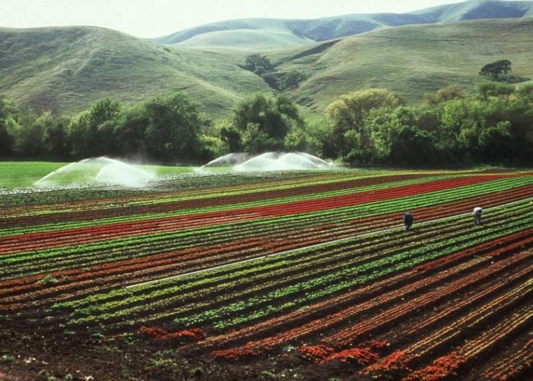 Farmers Urged to Support Sustainable Farming