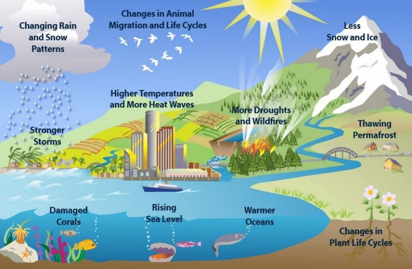 28 States prepare climate action plans