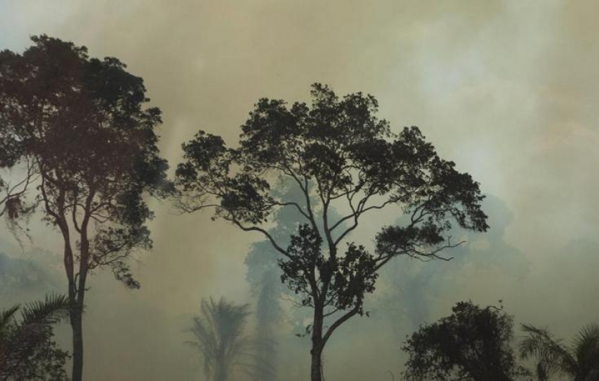 Ebola and Climate Change: Are Humans Responsible for the Severity of the Current Outbreak?
