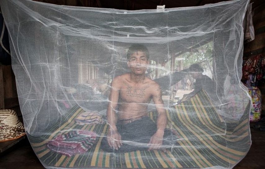 Malaria drug-resistant parasite common in Southeast Asia