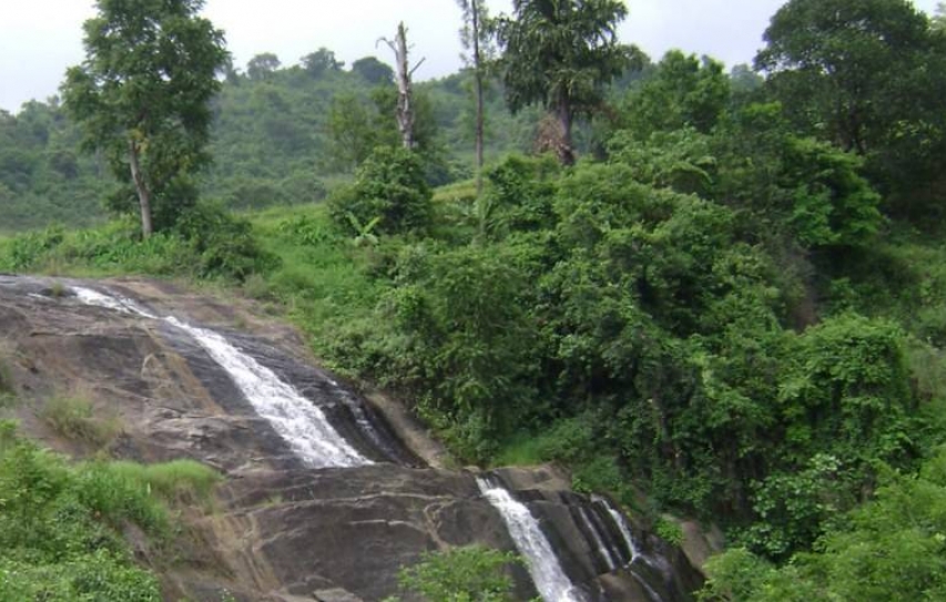 The UN climate summit reveals India's hypocrisy on saving forests