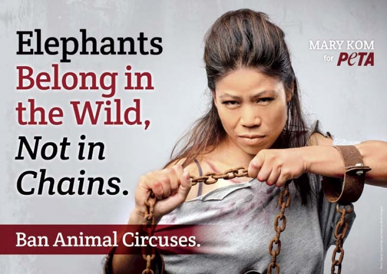 Mary Kom lends support to PETA campaign for elephants