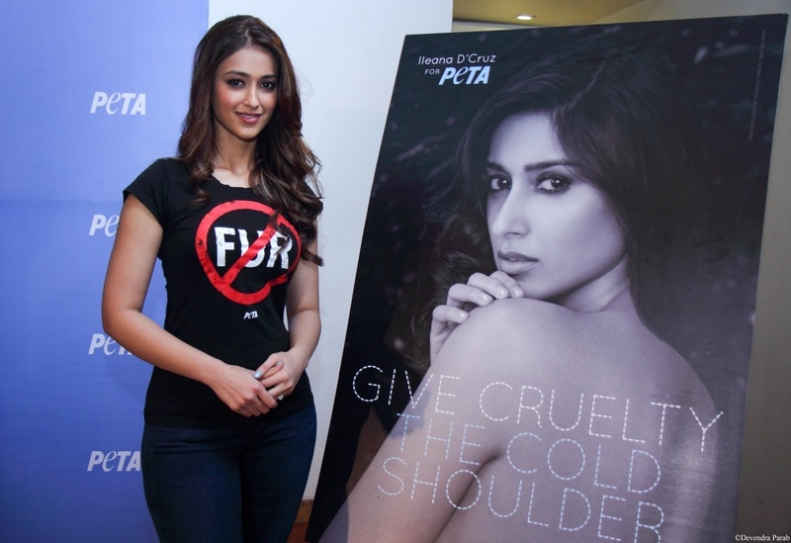 Ileana D'Cruz latest B-Town actress to support PETA
