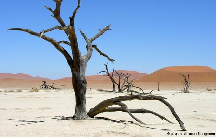India must be active in Lima climate change talks: Experts