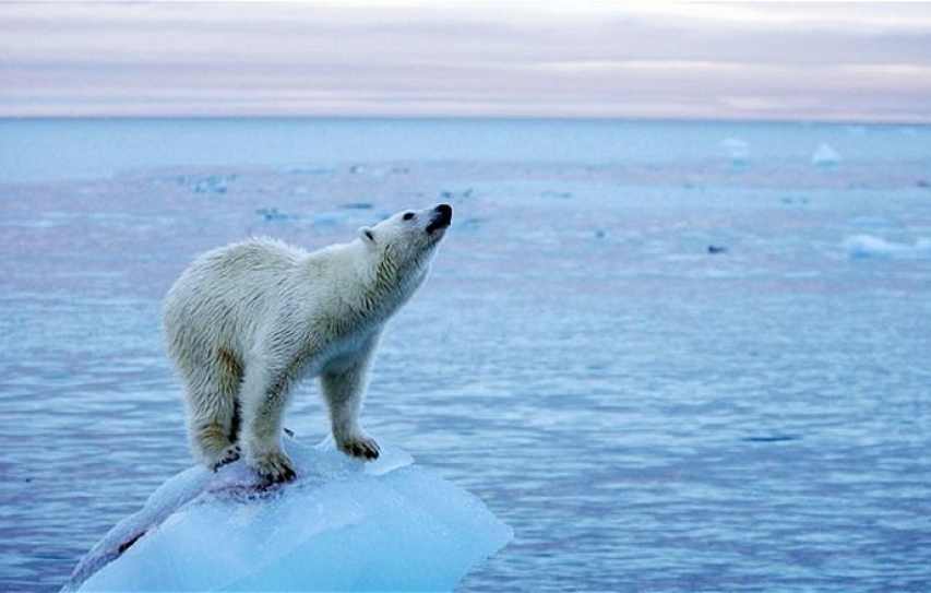 Climate change is a problem. But our attempts to fix it could be worse than useless