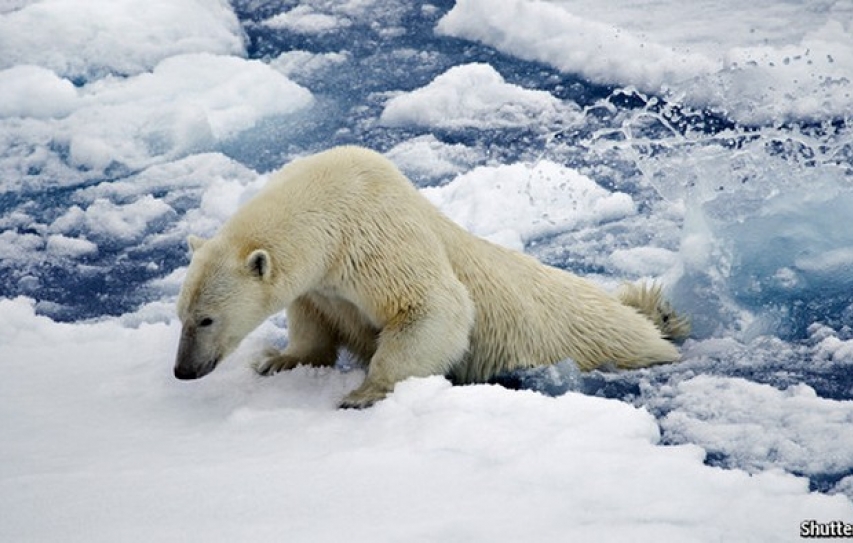 Why scientists are (almost) certain that climate change is man-made