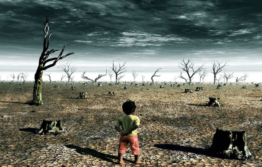  India at risk, can't undermine sustainable development: UN climate change report authors