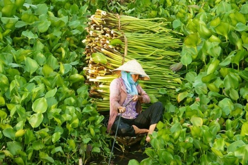 Empowering women is the smart approach to sustainable development