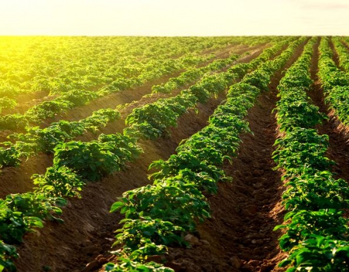 Agri-mechanical hubs to promote intensive farming in Bengal