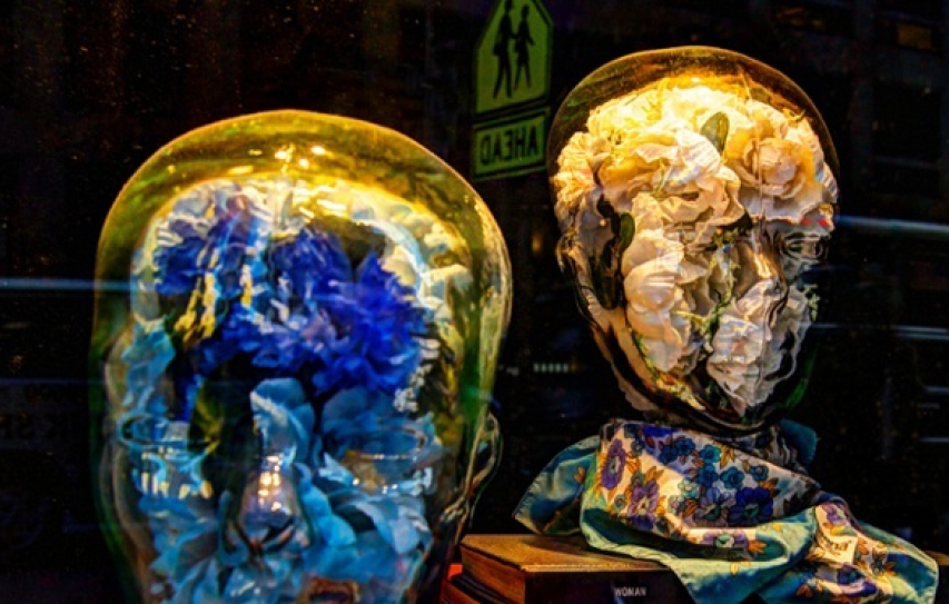 Your brain on climate change: why the threat produces apathy, not action