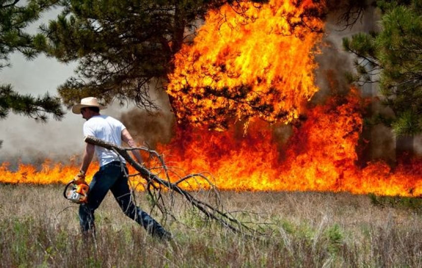 International law stays silent on the responsibility for climate change