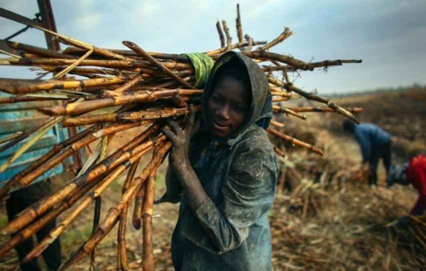 12 Paths to Strengthening Food Security in an Unstable World