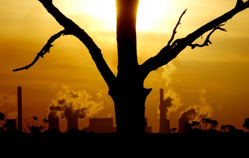 2014 Brought Lasting Action On Climate Change Policy