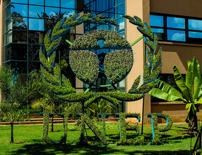 2015 Could Be Year For Sustainable Development & Investment
