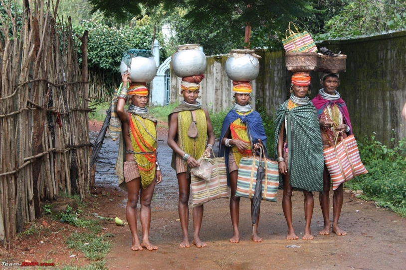 Ministries battle over applicability of Forest Rights Act