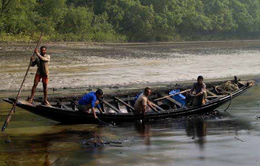 India on high alert after massive oil spill threatens Sunderbans ecology