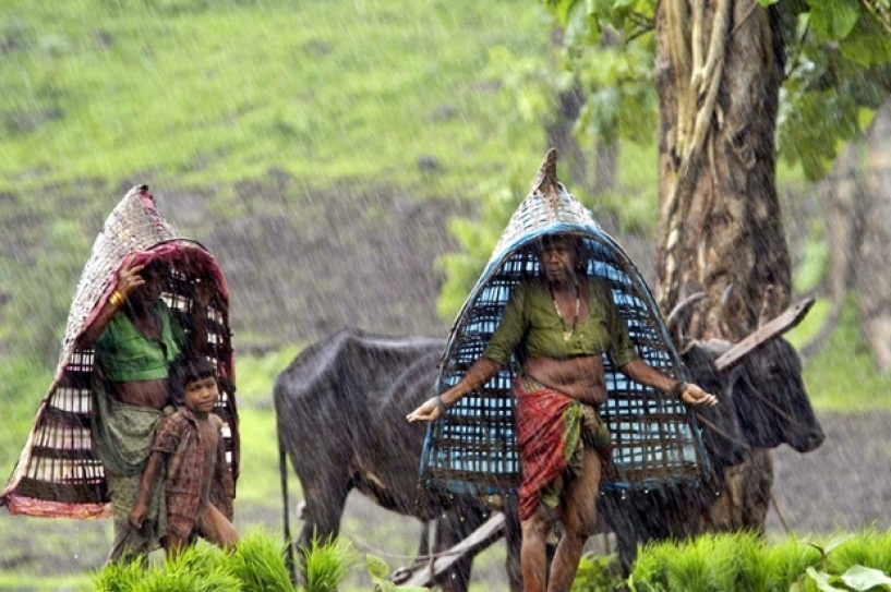 National Seminar on Tribal Health Issues