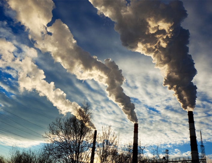 Fight climate change, make money