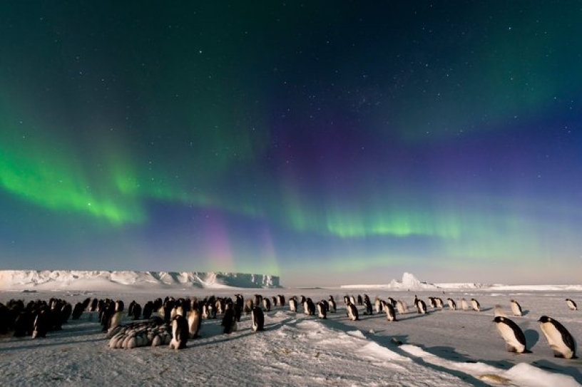 What to Call a Doubter of Climate Change?