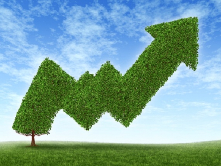 The Responsible Investor?s Guide to Climate Change