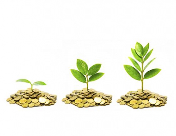 Designing a Sustainable Financial System for India