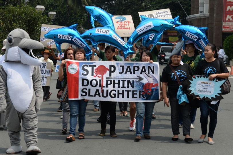 Sea Shepherd Conservation Society To Hold Worldwide Protests Against Dolphin Slaughter